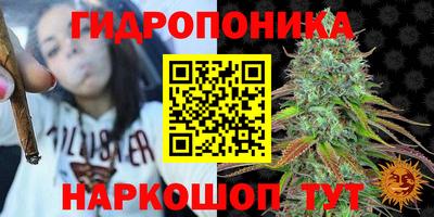 прущие крисы Среднеуральск