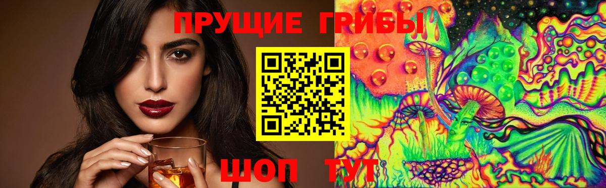 Псилоцибиновые грибы Cubensis Сосновоборск