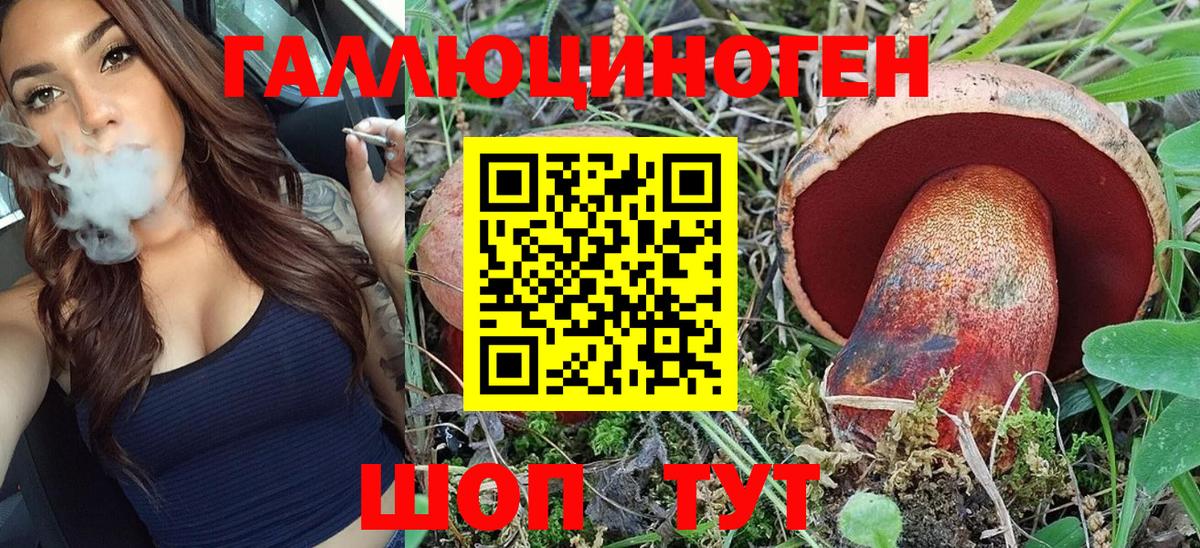 Галлюциногенные грибы MAGIC MUSHROOMS  Псилоцибиновые грибы MAGIC MUSHROOMS  Сосновоборск  Вход с VPN 